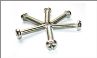Stainless Steel Screws